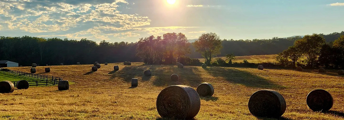 hay rolls_cropped2